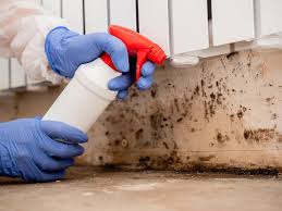 Best Residential Mold Inspection & Testing  in Helena, AL